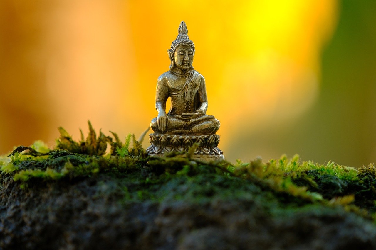 Nghe Đức Phật dạy về đạo làm người để cả đời an yên hạnh phúc, tránh mọi tai ương