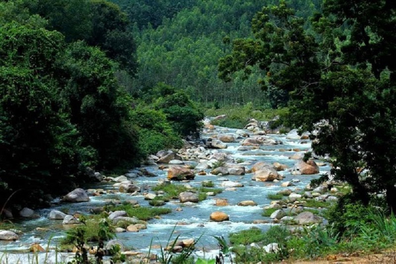 Nghỉ dưỡng tại núi Hòn Bà, Cam Lâm: Trải nghiệm hòa mình với thiên nhiên ở độ cao 1500m