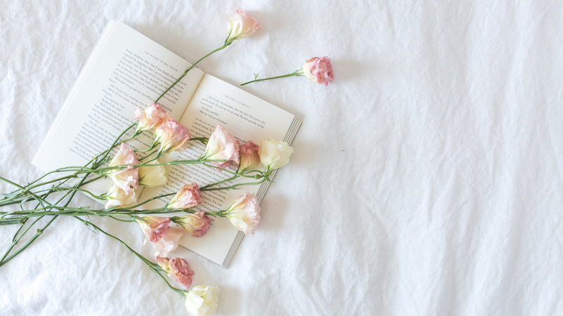 Những cuốn sách nên đọc trước hôn nhân để được hạnh phúc viên mãn