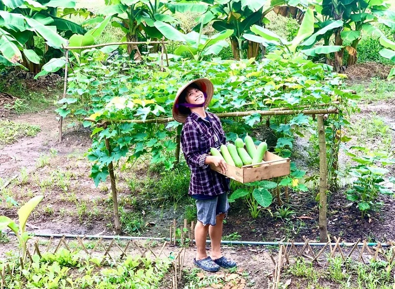 Nữ CEO bỏ phố về Tây Ninh sống chậm, cải tạo trang trại cũ trồng rau, thu hoạch nặng trĩu tay