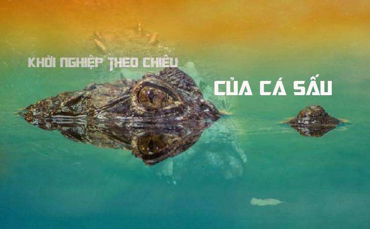 Học cách khởi nghiệp như cá sấu: Ẩn mình đợi thời cơ, bởi 'dục tốc bất đạt'