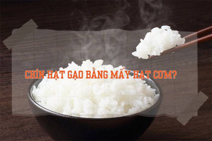 Câu đố tiếng Việt: Chín hạt gạo bằng mấy hạt cơm?