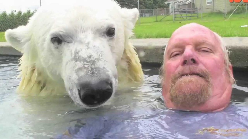 Kỳ lạ tình bạn giữa người đàn ông và gấu Bắc Cực: Ôm hôn thân thiết, hàng ngày tắm chung cùng nhau