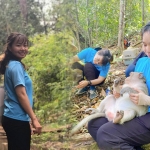 Người trẻ tình nguyện cứu hộ động vật hoang dã, bảo tồn thiên nhiên