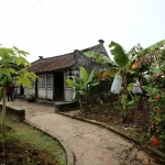 Chiêm ngưỡng ngôi nhà Bá Kiến ở làng Vũ Đại: Hơn 100 năm trôi qua vẫn sừng sững