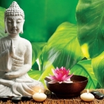 Phật dạy 10 cách gieo trồng phước đức