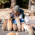 Ghé thăm 'Đảo Thỏ' Okunoshima - nơi từng bị xóa tên trên bản đồ thế giới