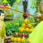 Mừng Đại lễ Phật đản năm 2021 - Phật lịch 2565