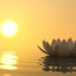Phật dạy: 15 cách đơn giản để tĩnh tâm giữa cuộc đời đầy biến động
