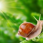Trên đời có những chuyện không cần phải để tâm, biết buông bỏ tùy duyên mới là hạnh phúc