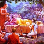 Câu nói của Đức Phật trước khi nhập Niết Bàn giúp người người được thức tỉnh