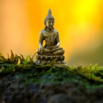 Nghe Đức Phật dạy về đạo làm người để cả đời an yên hạnh phúc, tránh mọi tai ương