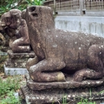 Khám phá bí ẩn tượng trâu nghìn năm tuổi được tạo hình trong thế phủ phục ở chùa Phật Tích, Bắc Ninh