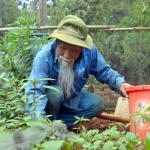 Người lính 90 tuổi đời, 70 tuổi Đảng, 2 lần vinh dự được gặp Bác Hồ chia sẻ bí quyết sống trường thọ