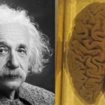 Hành trình chu du ly kỳ như trong phim của bộ não thiên tài Albert Einstein
