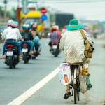 'Lão Hạc' thời hiện đại và hành trình đạp xe chở 'cậu vàng' từ Sài Gòn về Bến Tre