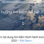 Năm 2021, người Việt tìm kiếm gì nhiều nhất trên Google?