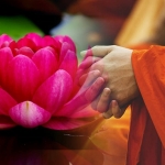 Đức Phật dạy: Tâm sinh tính và tâm sinh tướng, tâm tốt thì mọi thứ đều vẹn tròn