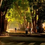 Nhiệt độ hôm nay 6/4/2022: Bắc Bộ tăng nhiệt, Nam Bộ mưa dông, biển Đông có thể đón áp thấp