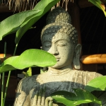 Phật dạy về con đường cải thiện vận mệnh đơn giản: Bỏ 1 chút công sức nhưng thay đổi cả 1 đời