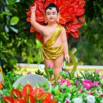 Lễ Phật Đản năm 2022 rơi vào thứ mấy, ngày bao nhiêu dương lịch?