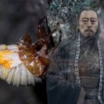 Tư Mã Ý đã vận dụng 'định luật ve sầu' tài tình thế nào mà chỉ vung 1 kiếm đã thắng Tào Sảng?