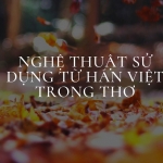 Nghệ thuật sử dụng từ Hán Việt đỉnh cao trong thơ: 2k5 lưu lại để đi thi ăn chắc điểm 9, 10