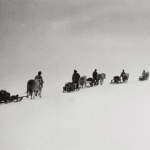 Những dấu chân hi sinh của loài chó kéo xe tại vùng đất Nam Cực