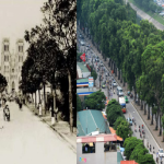 Nhớ về Hà Nội một thời rợp bóng cây xanh - từng là 1 trong 3 thành phố đẹp nhất Châu Á