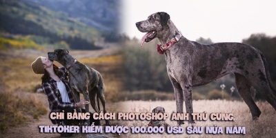 Chỉ bằng cách photoshop ảnh thú cưng, TikToker kiếm được 100.000 USD sau nửa năm