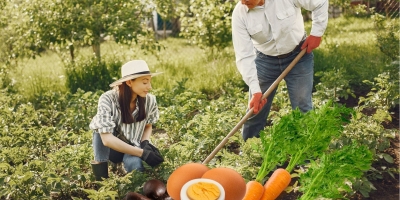 Vượt nghịch cảnh đích đến là thành công - Bài học ý nghĩa từ chuyện 'Cà rốt, trứng và cà phê'