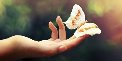 Hiệu ứng cánh bướm: Một động thái nhỏ cũng có sức mạnh thay đổi cả đời người!