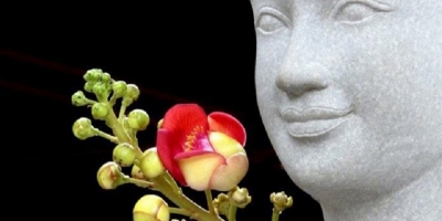 Ý nghĩa của những loài hoa liên quan đến nhà Phật
