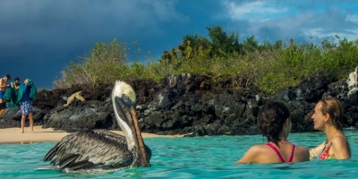 Khám phá quần đảo 'đẹp nhất hành tinh' Galapagos - Ecuador