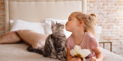 10 sự thật thú vị về mèo cưng mà bạn chưa biết: Mèo rất biết cách để đòi hỏi