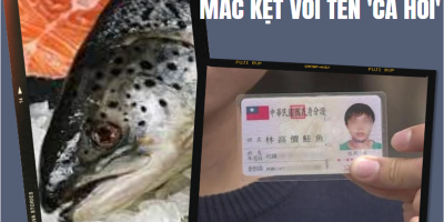 Bi hài chuyện người dân Đài Loan mắc kẹt với tên 'cá hồi'