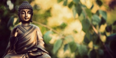 Lời Phật dạy: Lúa chín cúi đầu, người càng khiêm tốn càng nhiều phúc báo