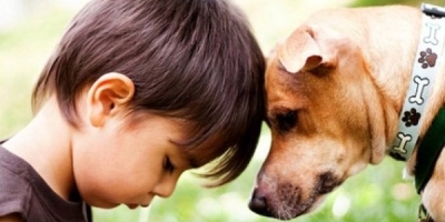 Cậu bé hỏi mua chú chó nhỏ tật nguyền và lời người bán 'không có giá tiền cho tình yêu'