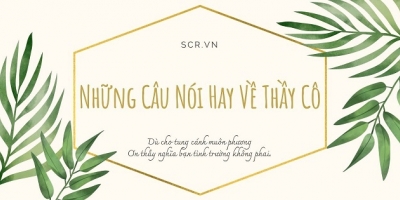 Những câu nói hay về thầy cô giáo ngắn gọn ý nghĩa nhất