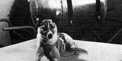 Câu chuyện buồn của chú chó Laika và hành trình 'một đi không trở lại', bay quanh quỹ đạo Trái Đất