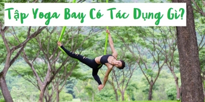 Những lợi ích tuyệt vời khiến Yoga bay trở thành môn thể thao yêu thích của hội văn phòng