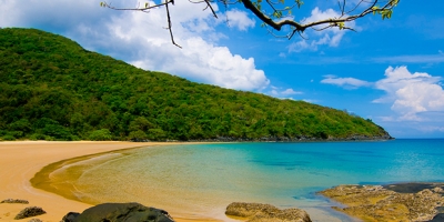 Vì sao 'ốc đảo xanh' Đầm Trầu vượt Phú Quốc lọt top những bãi biển đẹp nhất thế giới?