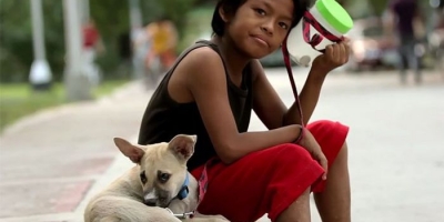 Tình bạn diệu kỳ của cậu bé ăn xin và chú chó hoang: Hai mảnh đời bất hạnh nương tựa vào nhau để sống