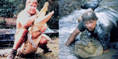 Hé lộ sự thật về cái chết nghiệt ngã của 'thợ săn cá sấu' Steve Irwin- người từng bế con 'chơi đùa' với quái thú đầm lầy