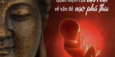 Quả báo địa ngục của việc sát sinh, nạo phá thai theo giáo lý nhà Phật