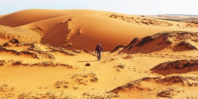 Lạc lối ở đồi cát Hòa Thắng - sa mạc cát lớn nhất Việt Nam
