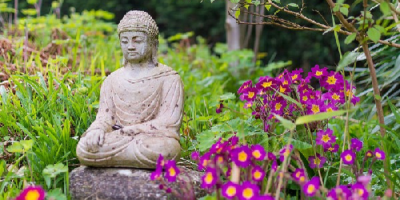 4 nguyên tắc giúp bạn chuyển nghiệp nghèo theo lời Phật dạy