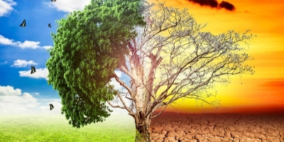 Biến đổi khí hậu là gì và biến đổi khí hậu khiến mùa hè 2022 diễn biến ra sao?