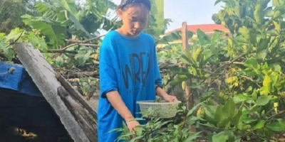 Không có bố, mồ côi mẹ, bà đổ bệnh, nữ sinh học giỏi có nguy cơ không thể tiếp tục đến trường
