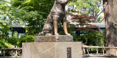 5 bức tượng chó nổi tiếng thế giới, mỗi bức tượng gắn liền với một câu chuyện ý nghĩa khác nhau